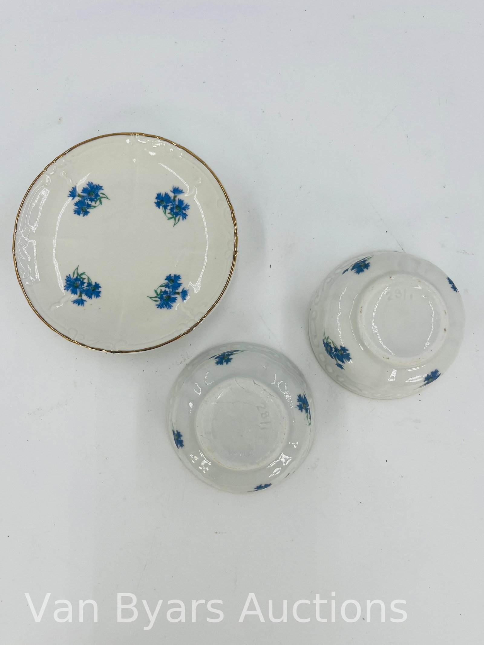 Kahla Germany Bachelor Button Cornflower Pattern Set, 11 pieces, INV. 2023 - 3