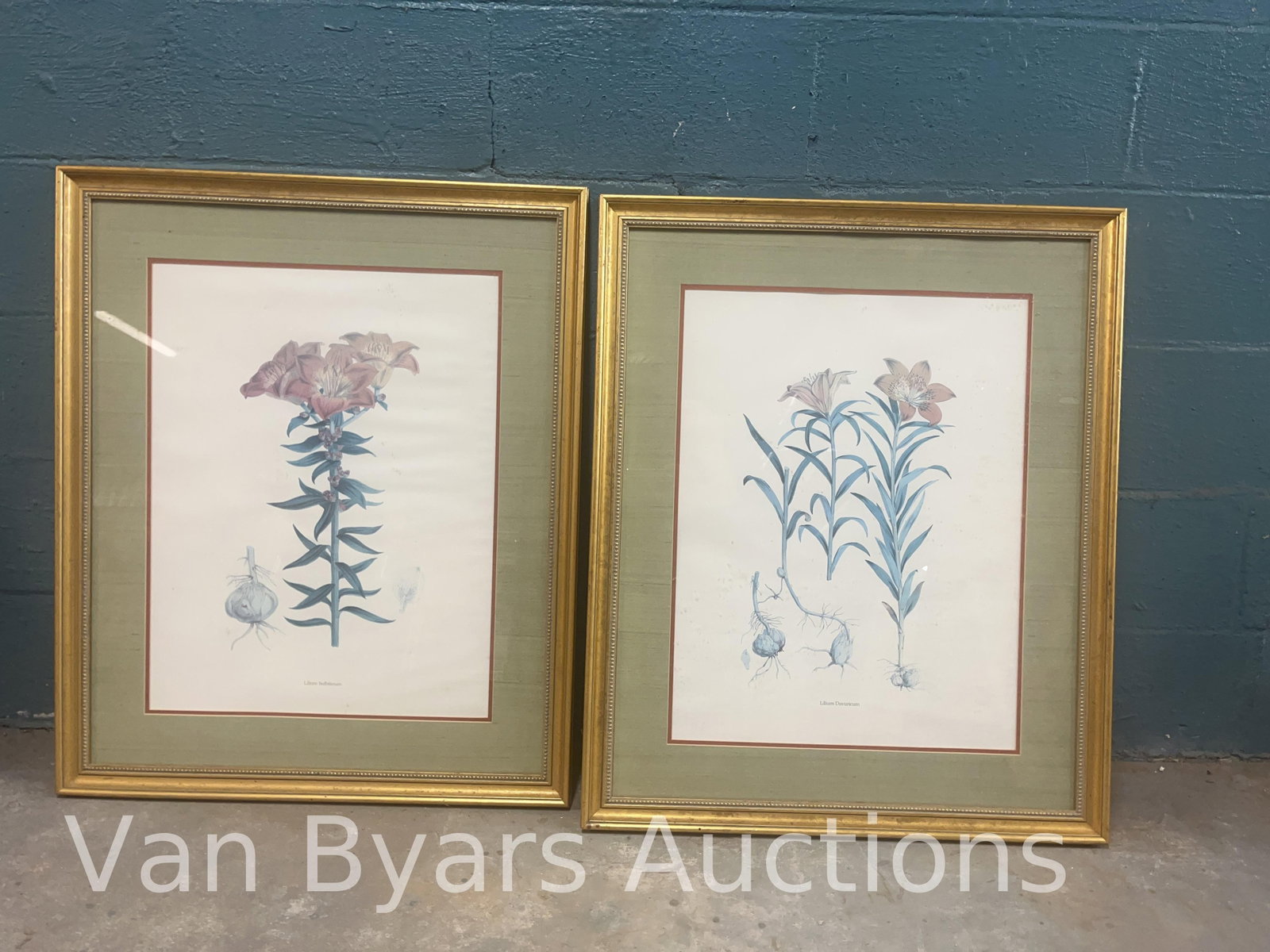 Two Framed Botanical Prints, INV. 2258: Both approx. 32 x 26.5 x 1 inches.