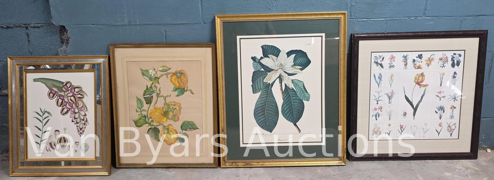 Four Floral / Botanical Scenes, INV. 2162: Largest frame 35 x 28.75 inches