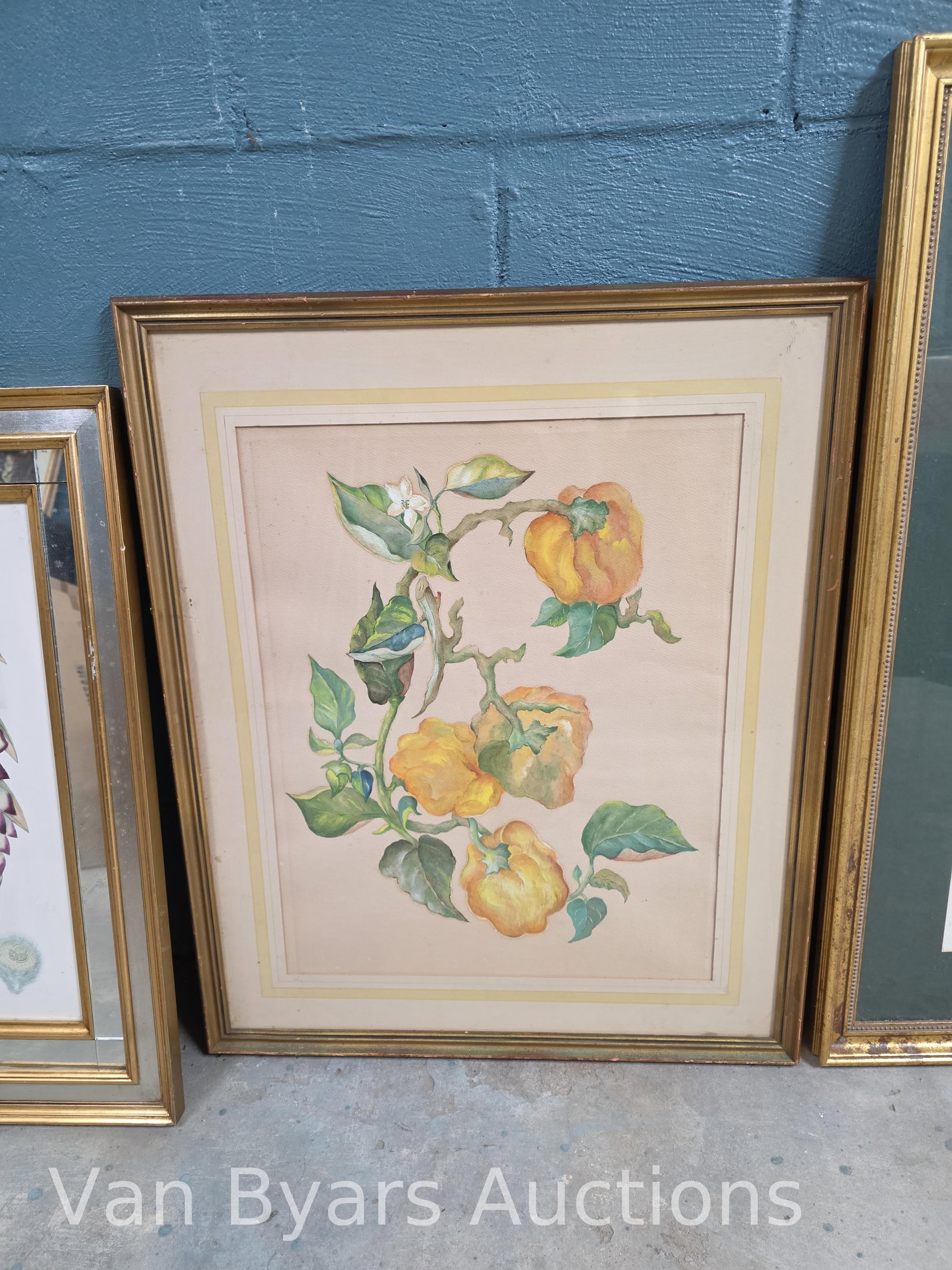 Four Floral / Botanical Scenes, INV. 2162 - 4