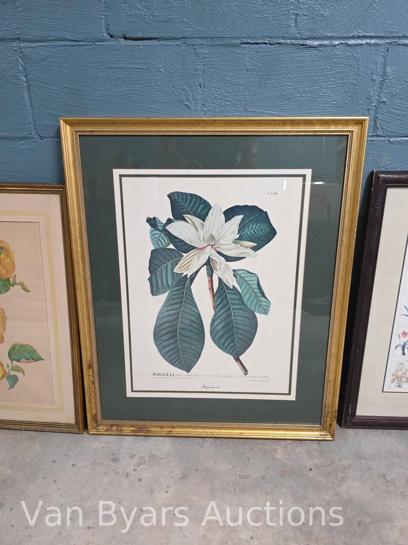 Four Floral / Botanical Scenes, INV. 2162 - 5