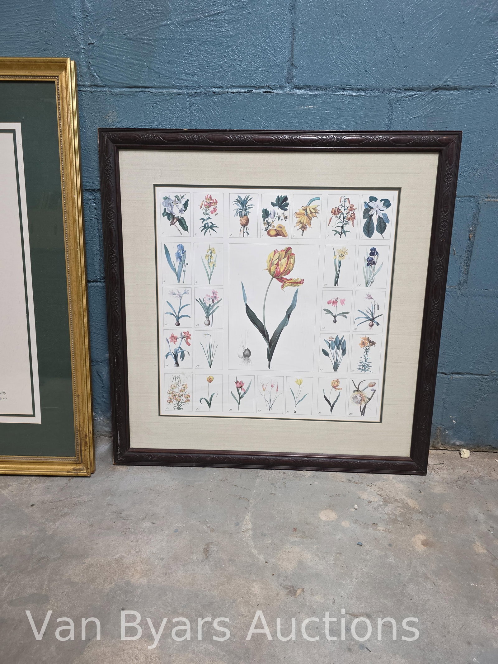 Four Floral / Botanical Scenes, INV. 2162 - 6