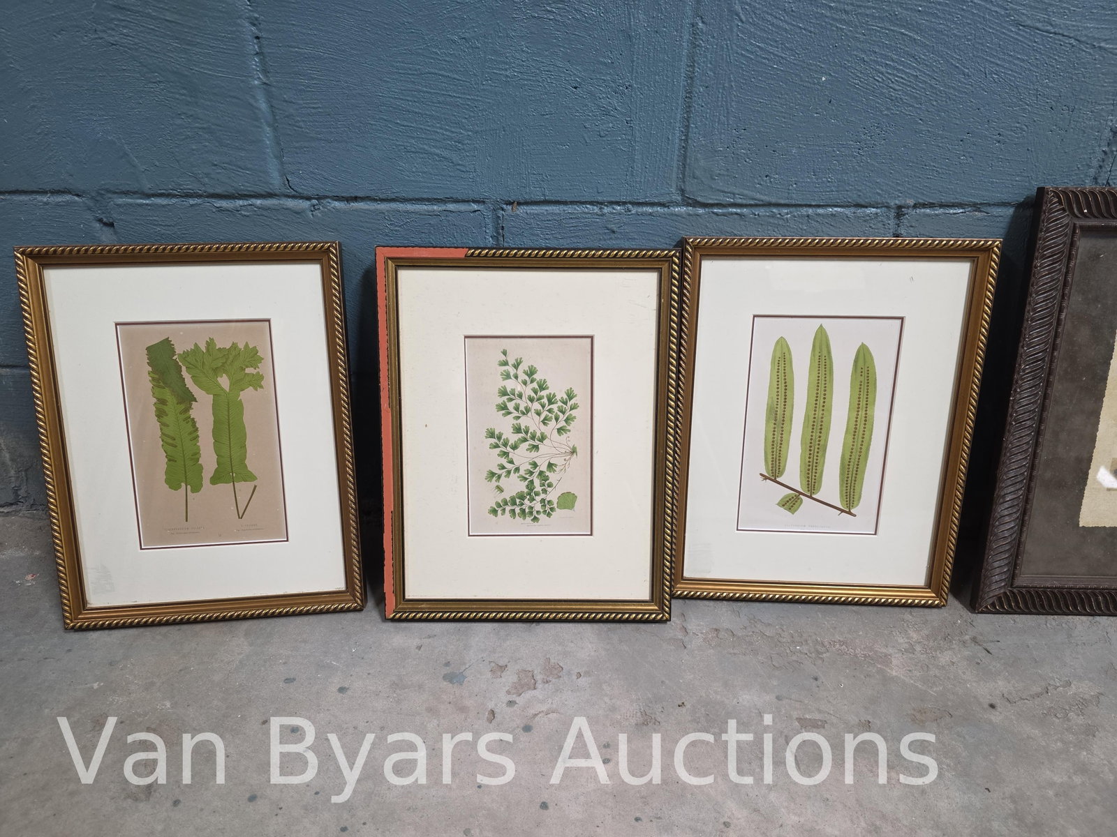Five Botanical Scenes, INV. 2165 - 2