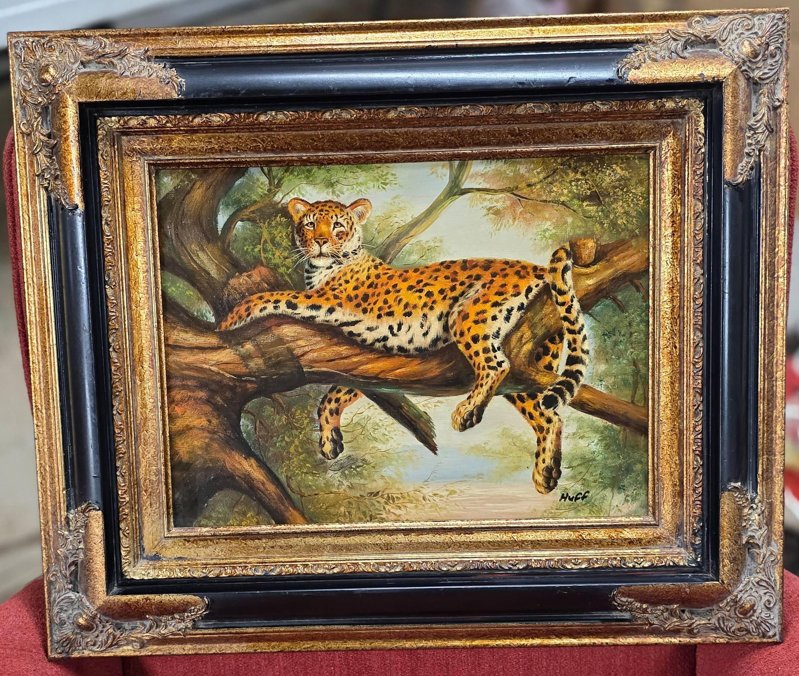 Leopard by Huff (1 of 3)