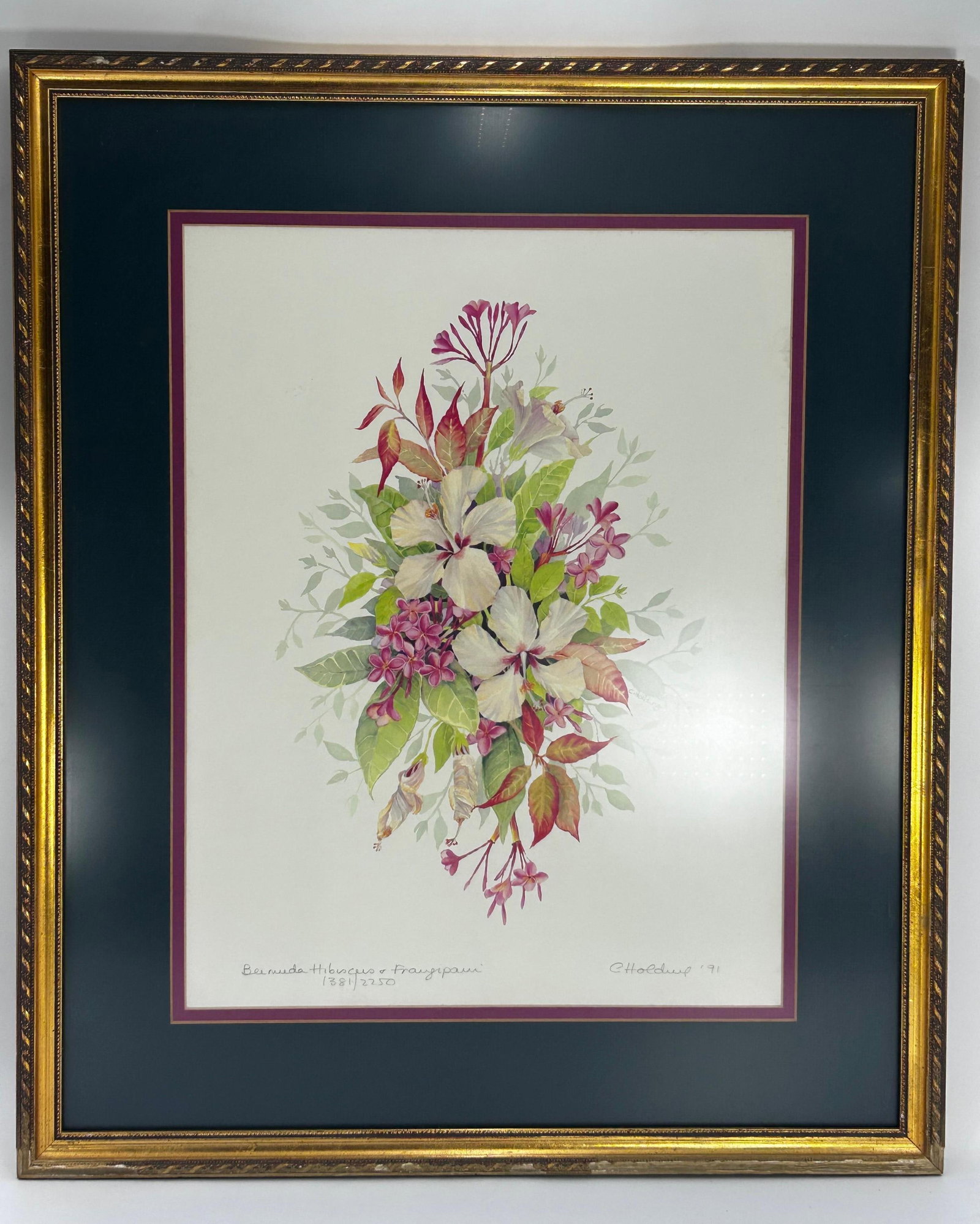 Carole Holding "Bermuda Hibiscus & Frangipani", Signed Print: Titled and editioned to lower left. Signed and dated to lower right. Frame approx. 24.625 x 20.625 x 0.875 inches