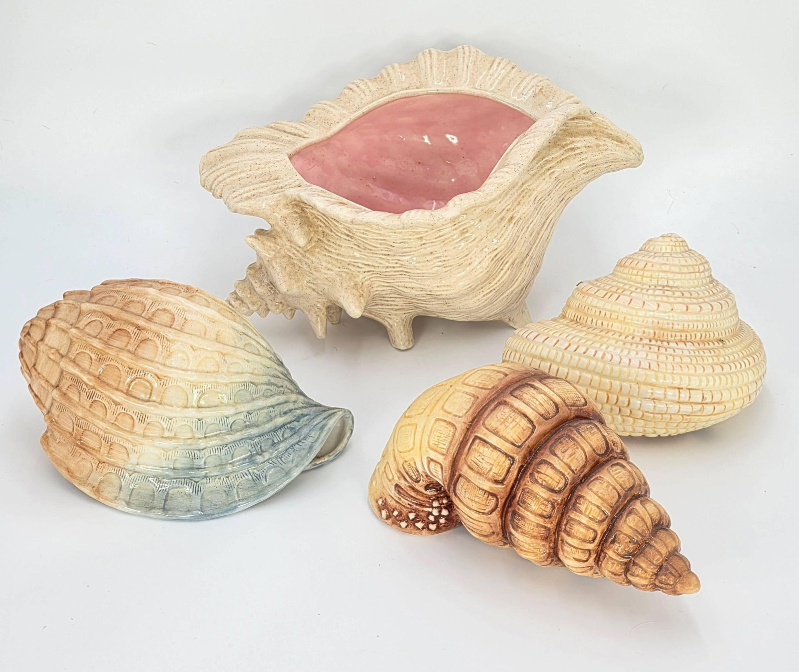 Assorted Seashells, INV. 366, 630 (1 of 5)