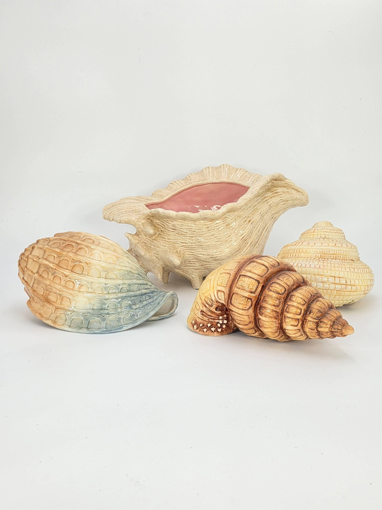 Assorted Seashells, INV. 366, 630 - 2