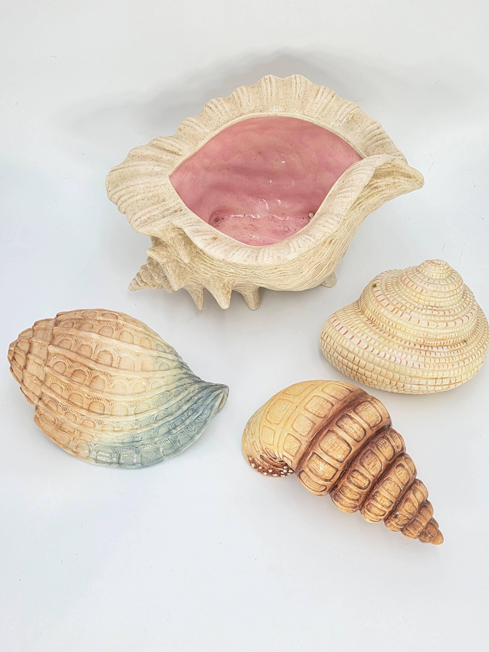 Assorted Seashells, INV. 366, 630 - 3