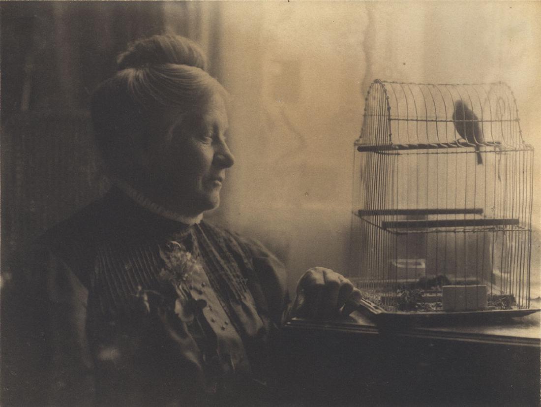 Eva Watson-Schütze: Untitled (woman with birdcage): c. 1890s–1900s, toned platinum print, Image size: 6"x8"; Sheet Size: 6"x8" Eva Watson-Schütze studied at the Pennsylvania Academy of the Fine Arts with Thomas Eakins and later bec