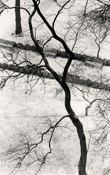 Michael Kenna: Name: Michael Kenna Title: Homage to Kertész, Gramercy Park, NYC, USA Date: 2003/2006 Process: silver print, signed verso Size: 9.5"x6"
