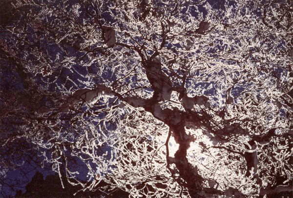 John Pearson: Name: John Pearson Title: Winter Abstraction Date: 1986 Process: silver print, signed on mat recto Size: 4"x6" (Courtesy Robert S. Persky)