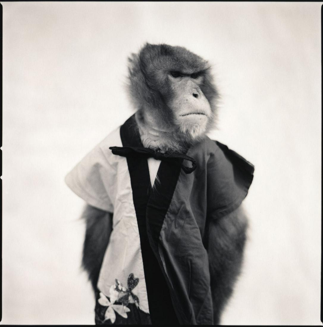 Hiroshi Watanabe: Choromatsu 2, Suo Sarumawashi (1 of 1)