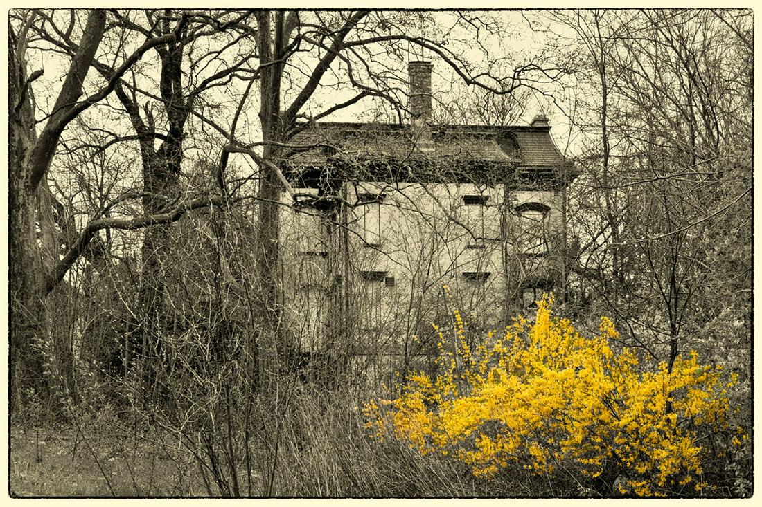 Barbara E. Leven:  House in the Woods (1 of 1)