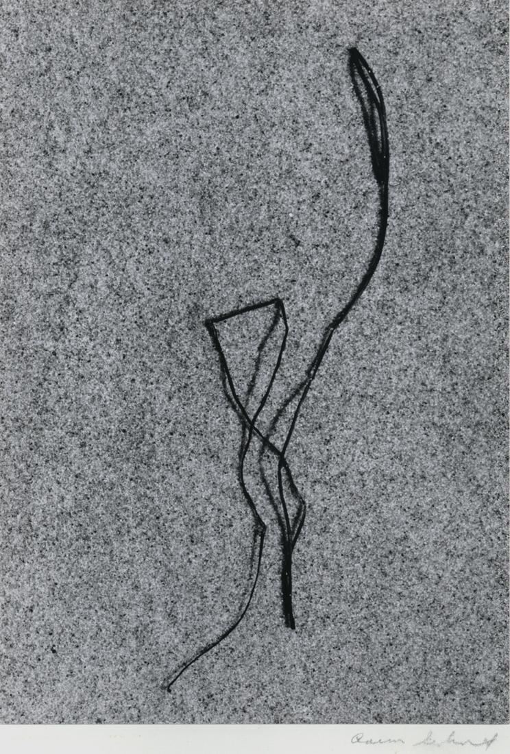 Aaron Siskind:  Martha's Vineyard 21 (1 of 1)