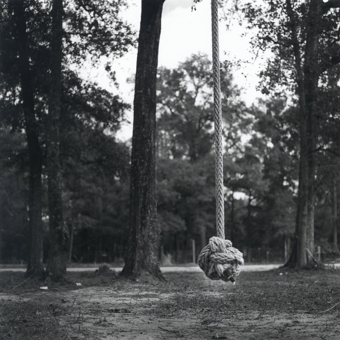 Dave Anderson: Fist: Dave Anderson: Fist, 2003/2006, silver print, ed. 5/25, signed, titled, dated, and numbered, verso, Image size: 10"x10"; Sheet Size: 14"x11".