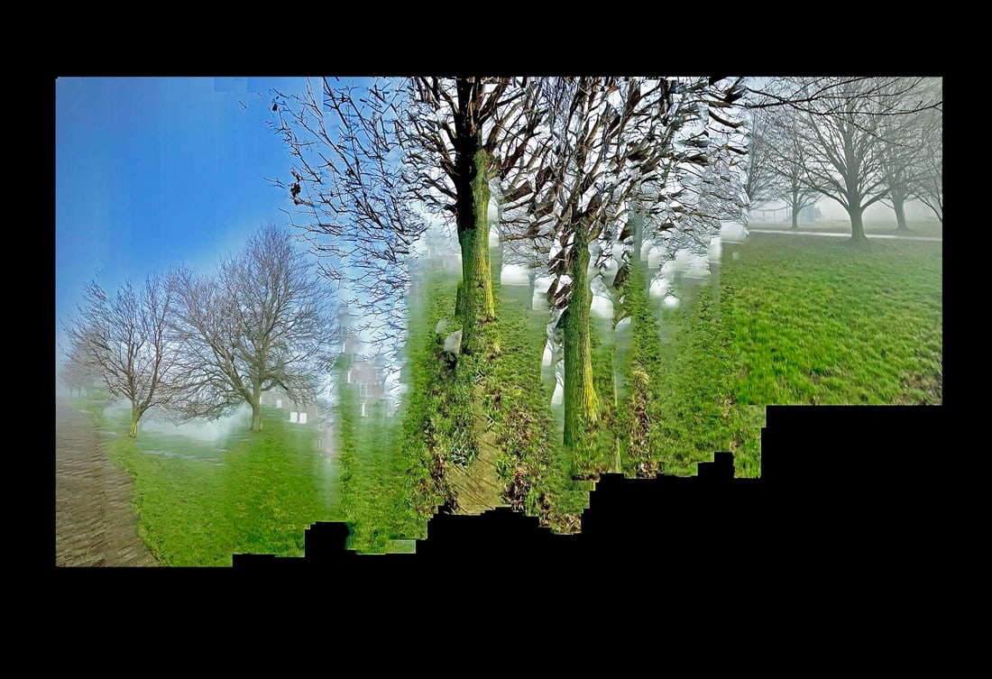 Robert Hirsch: Boardwalk Trees (1 of 1)