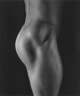 Anderson & Low: Body Fragments #3: Anderson & Low: Body Fragments #3, 1997/1998, selenium-toned silver print, ed. 2/25, signed, titled, dated and numbered verso, Image size: 11" x 9"; Sheet Size: 14" x 12".