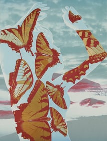 Martha Madigan: Fire/Air