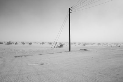 Theo Anderson: (untitled) 20231109-1132