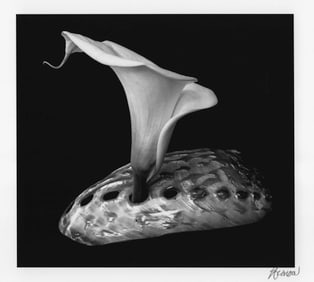 Abe Aronow: Shellflower, Edgehill Studio, SF, CA
