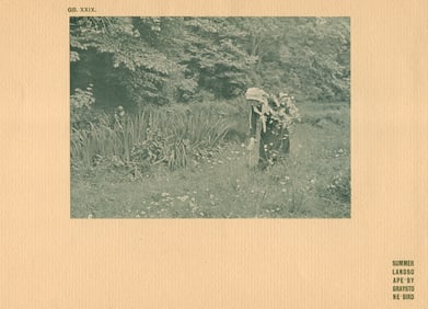 Graystone Bird: Summer Landscape