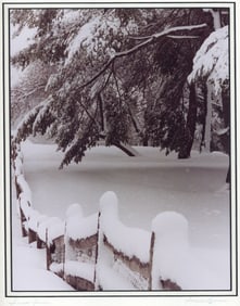 Swede Brown: Snow Fence