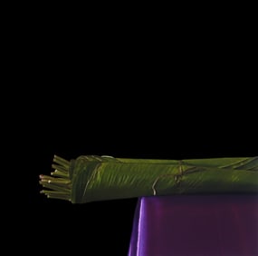 Susan Fenton: Antigua #1