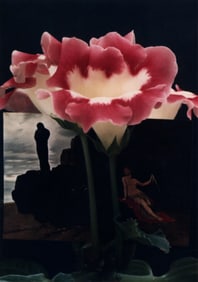 Horst P. Horst: flowers in front of image with figures, attached to holiday card