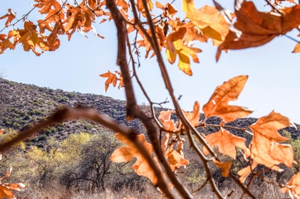 Addie Kaplan: This Could be Anywhere, But It's Not