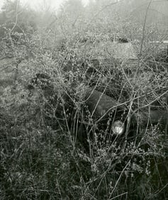 Brian Lav: Truck in Weeds