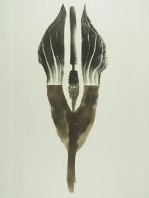 Roger Matsumoto: 17-78