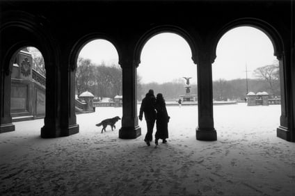Cynthia Matthews: Wonder, Central Park, New York