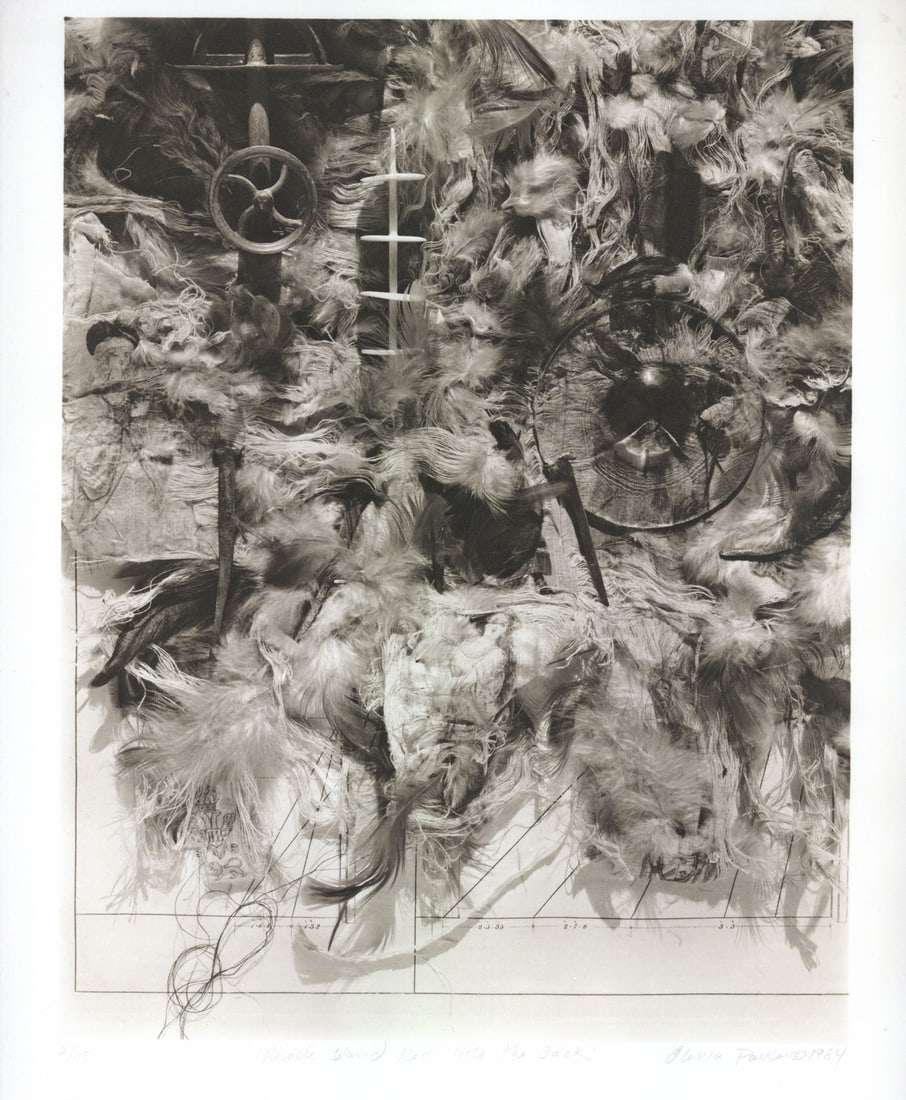 Olivia Parker: Rhode Island Red Hits the Sack: Olivia Parker: Rhode Island Red Hits the Sack, c. 1980s, platinum print, signed and numbered on recto; hand-coated platinum metals; printed by John Marcy, Image size: 13.5" x 10.25"; Sheet Size: 20" x