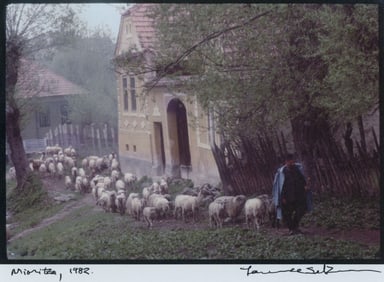 Laurence Salzmann: Mioritza