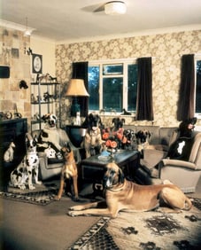 Neal Slavin: Great Dane Breeders Association