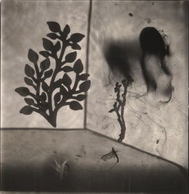 Hiroshi Watanabe: Lotus Dreams 06