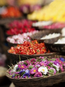 David H. Wells: Flower Market, Bangalore, India