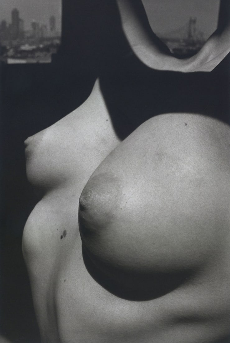 Ernestine Ruben: Brooklyn Bridge: Ernestine Ruben: Brooklyn Bridge, 1983, platinum print, ed. 3/25, signed, titled, dated, and numbered verso, Image size: 18" x 12"; Sheet Size: framed 28.75" x 22.75".