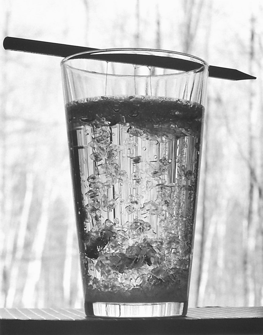 David Goldes: Growing Sugar Crystals: David Goldes: Growing Sugar Crystals, 2002, silver print, signed verso, Image size: 15"x18.75"; Sheet Size: 16"x19.75".