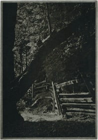 Jim Kraft: Untitled [wood fence below tree]