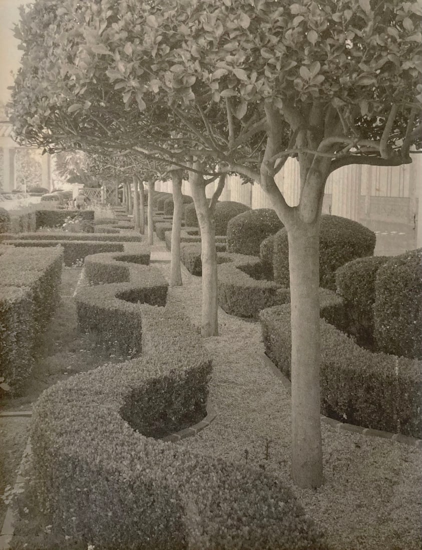 Sue Swanezy: Boxwood Hedges - J.Paul Getty Museum: Sue Swanezy: Boxwood Hedges - J.Paul Getty Museum, nd, platinum print, ed. 1/25, initialed and numbered by the artist on edge of print, recto and signed on mat recto, Image size: 6.75" x 4.755"; Sheet