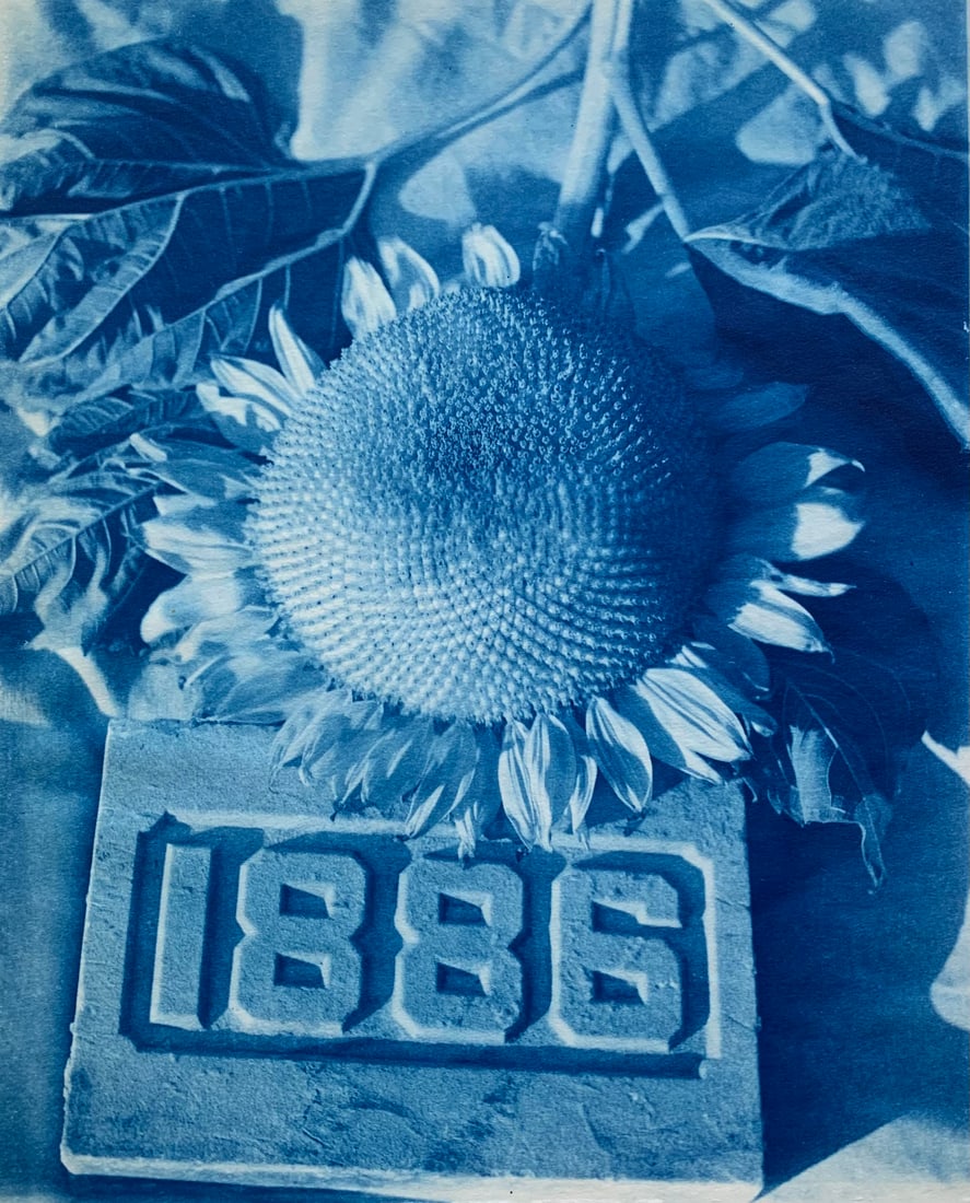 John Dugdale: 1886, Jenkintown, NY (1 of 1)