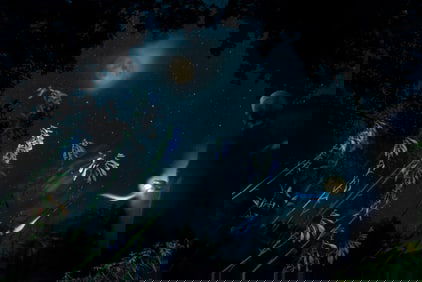 Kay Kenny: Moon in Hand