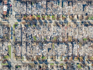 Jeffrey Milstein: Pailsades, from Aftermath