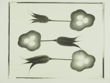 Roger Matsumoto: 12-23