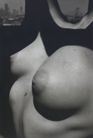 Ernestine Ruben: Brooklyn Bridge