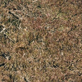 Diane Burko: April, from the series Tapestries