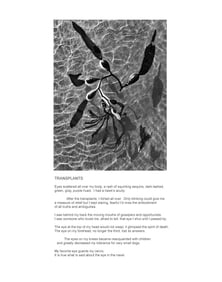 Douglas Busch: Owner