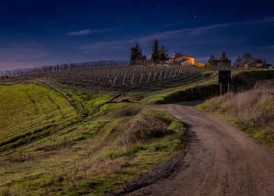 James B. Abbott: Tuscan Vineyard in Full Moon