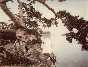 Unknown: Matsushima, Inland Sea (tree)
